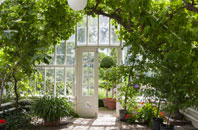 free Cupid Green orangery quotes